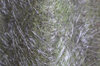 Glendale fibreglass roof work